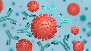 Can Antibodies post vaccine fight Delta variant?